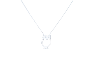 Lănțișor argint 925 cu charm bufniță - Farmec Misterios al Înțelepciunii